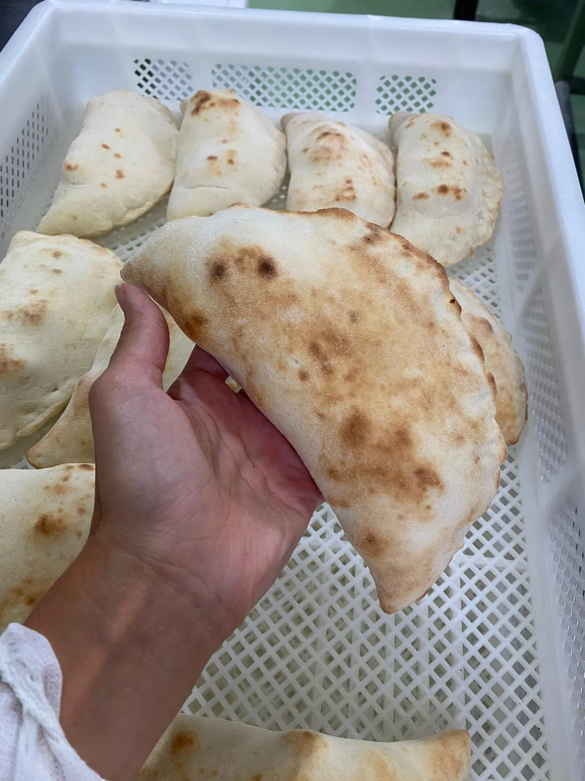 Original test-production photograph of a baked Calzagna held above a tray of prototypes
